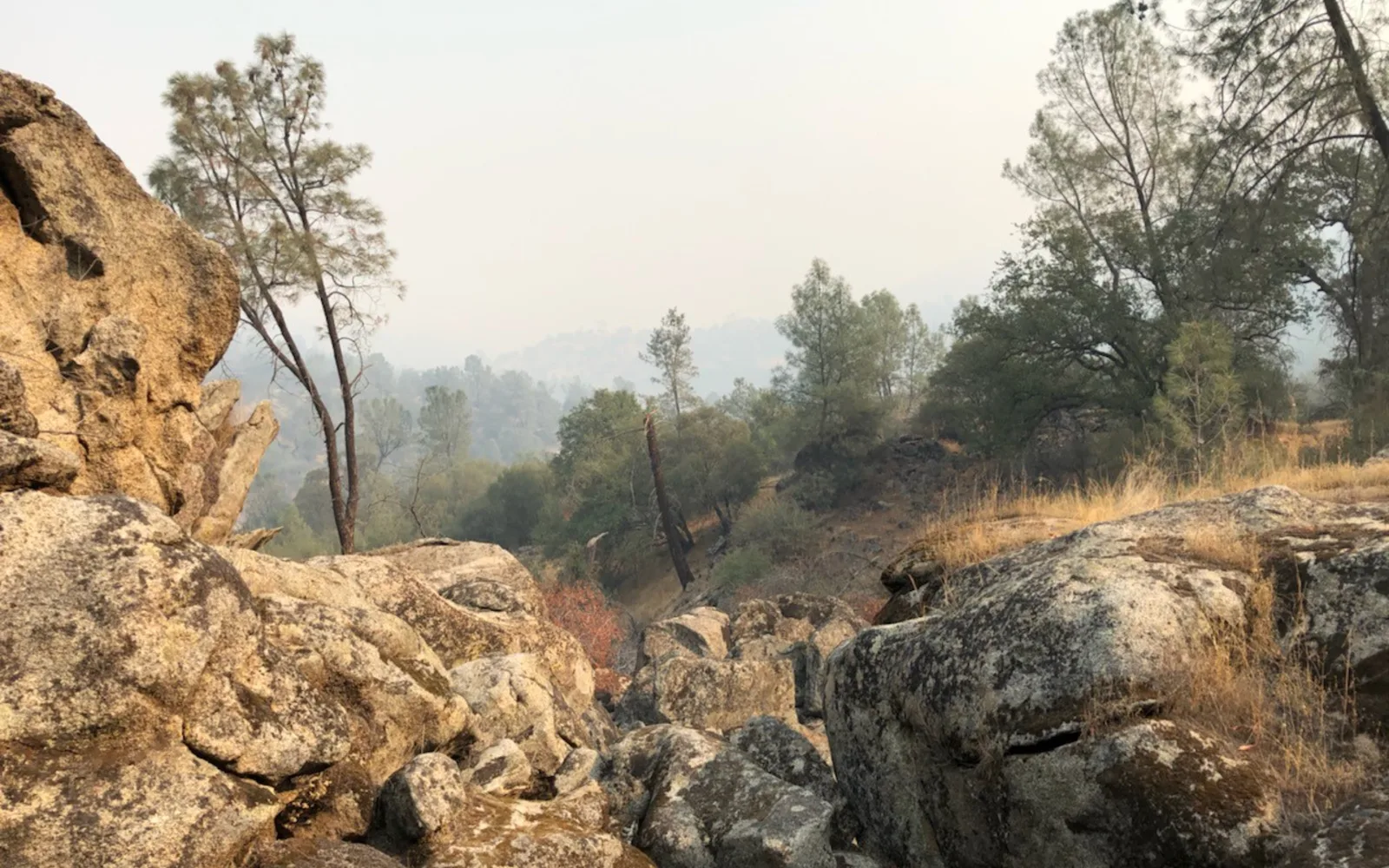 San Joaquin River gorge landscape showing natural river valley and riparian terrain